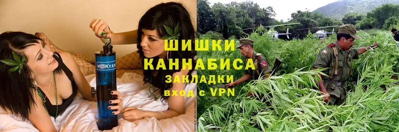 купить наркоту  Кедровый  Конопля план 